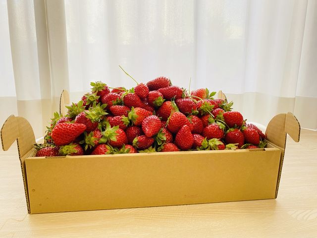 �E�ݎ��E�������Ő�����䕁B�X���ł͊��ɔ��l�߂��ꂽ� �C�`�S��Ⓚ�C�`�S���̔�����Ă��܂����I_JAL Agriport