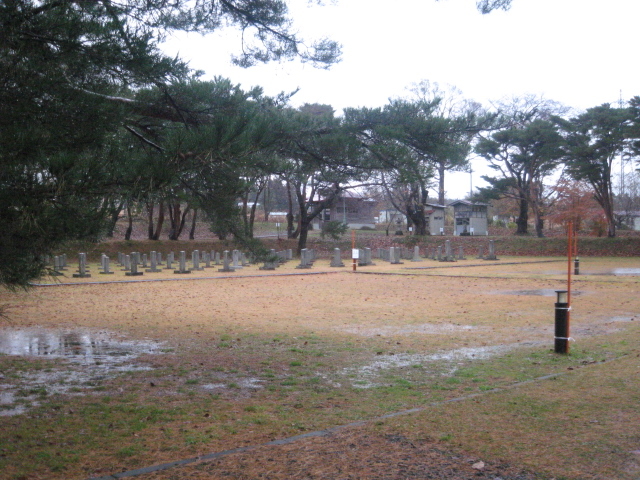 ��n�S�i_���b�c�R�ᒆ�s�R�������