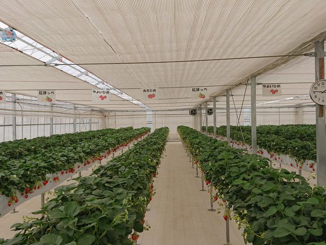 ���傤�ǂ��������ł�_�J�E�x����������