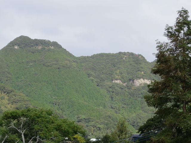 Ԃ񂳂̌Ð(~_)xA̓eʐ^4