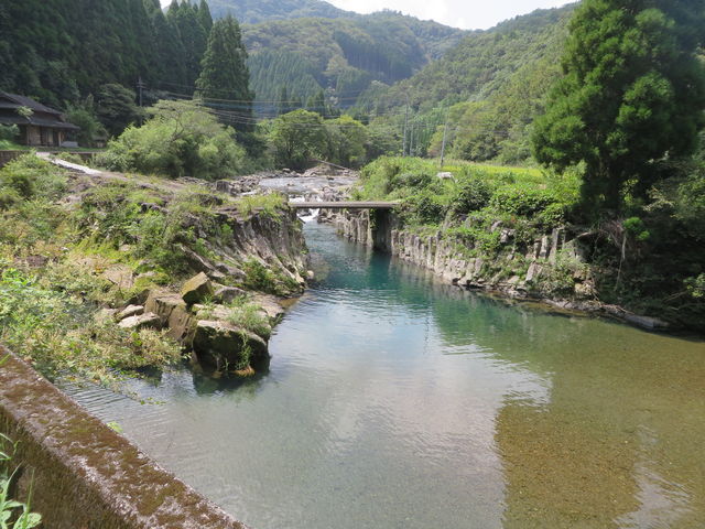 �Ԃ���񂳂�̔��R�k�J�̓��e�ʐ^3