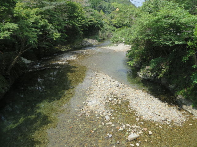 �Y��Ȑ�_��ϐ����ߓ����t�� ���R��