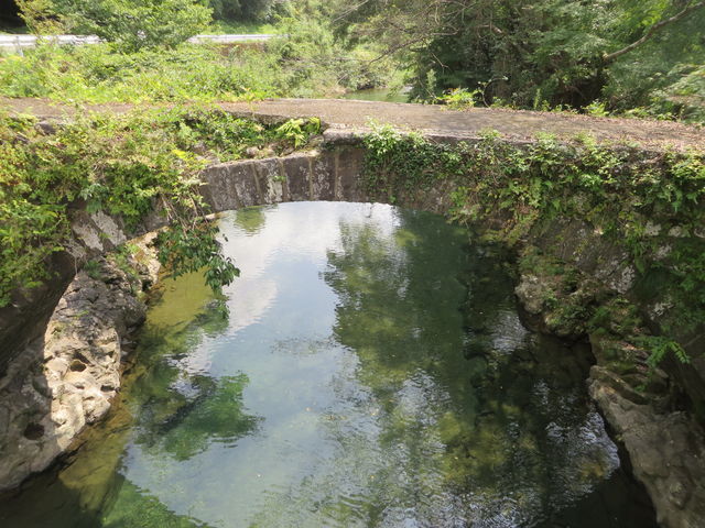 �΋�_��ϐ����ߓ����t�� ���R��