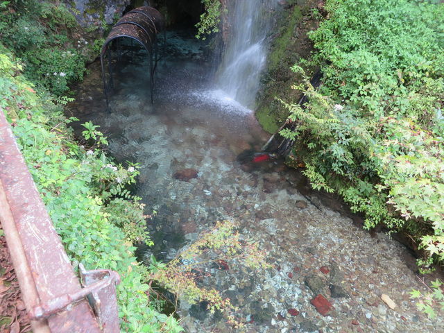 Ԃ񂳂̈ϐߓt R̓eʐ^3