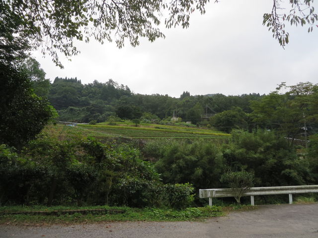 �Ԃ���񂳂�̓�������V���R�[�X�̓��e�ʐ^2