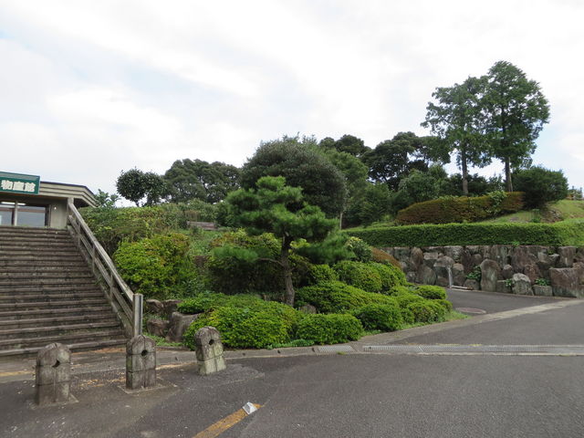 Ԃ񂳂̗␅x̃ccWE̓eʐ^2