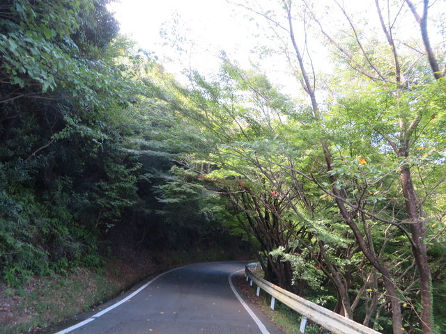 Ԃ񂳂̐R̍gt̓eʐ^2