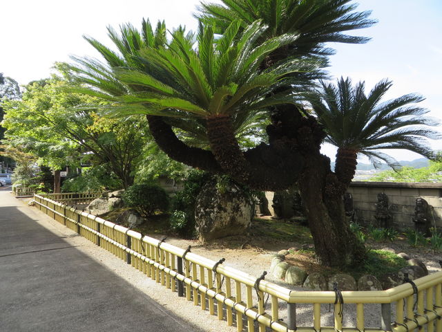 �h�S_�㉤�R������