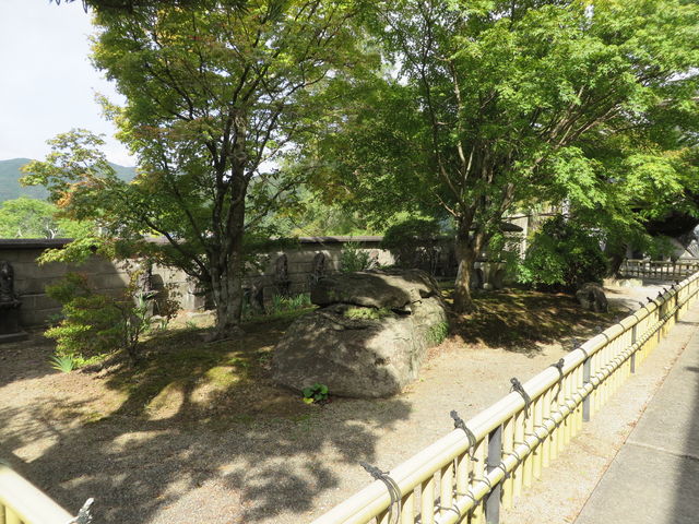 �Β�_�㉤�R������