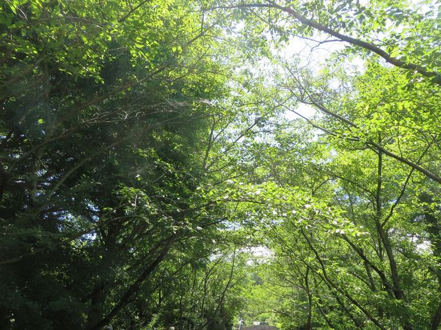 ������_�B��_��