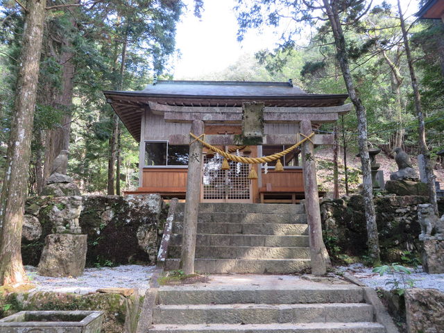 Ԃ񂳂̑钹_Ђ̓VR̓eʐ^2