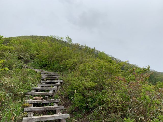 hijikigoke̎OR̓eʐ^1