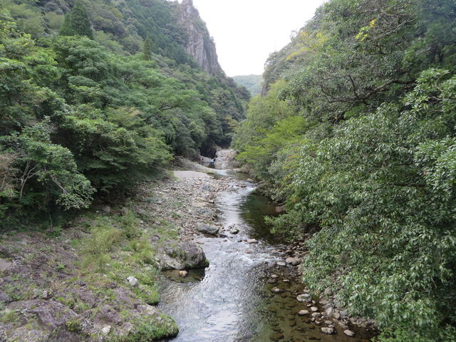 �Ԃ���񂳂�̐��R�k�J�̓��e�ʐ^2