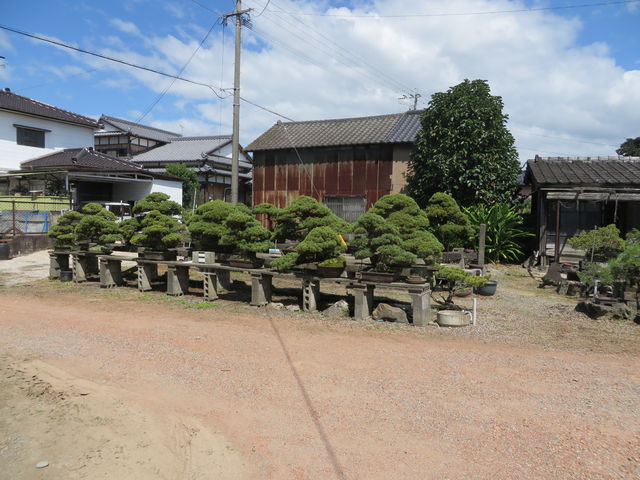 �~�͒I_����~�~�сE����~�~�~