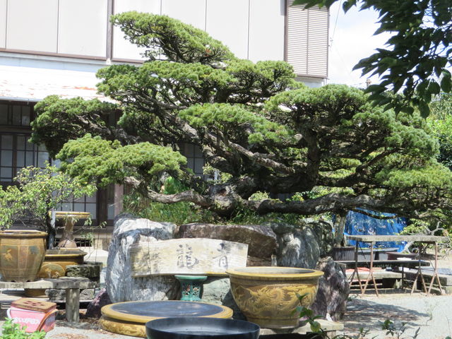 �����Ȗ~��_����~�~�сE����~�~�~