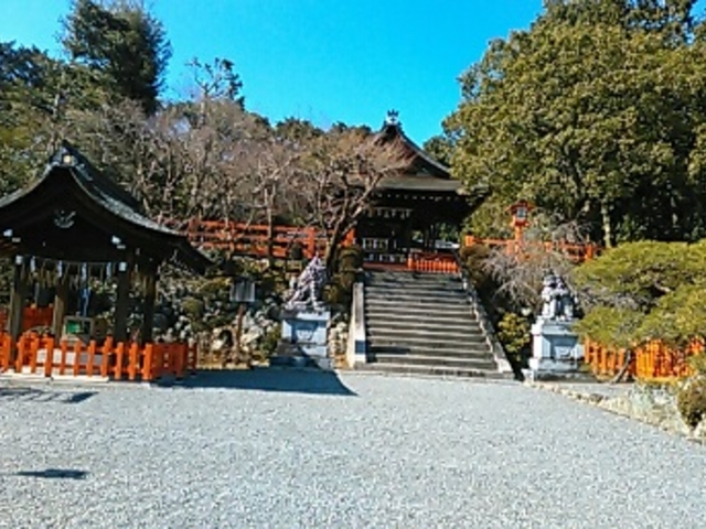 ����_���M�_��