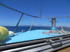 �Ԃ���񂳂�̉B��ό�������Ђւ̓��e�ʐ^1