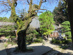 Ԃ񂳂̖򎛂ւ̓eʐ^1