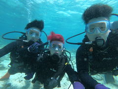 ƂS.E.P.}Nuւ̓eʐ^1