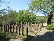 �Ԃ���񂳂�̏�m�����R��n�̓��e�ʐ^1