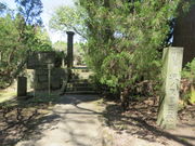 �Ԃ���񂳂�̏�m�����R��n�̓��e�ʐ^2