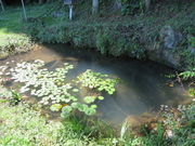 �Ԃ���񂳂�̓����̐��S�̓��e�ʐ^2