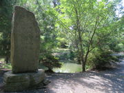 Ԃ񂳂̌㒹HcsݏՂ̓eʐ^2