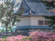 IWSW[X̑ėj̓m̓eʐ^1