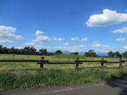 Ԃ񂳂̌F{_ƌiJg[p[Nj̓eʐ^2