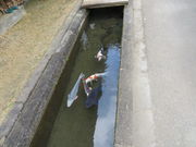 Ԃ񂳂̉S񂩂̓ ؉Yق̓eʐ^2