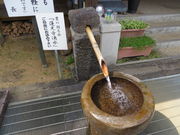 Ԃ񂳂̉S񂩂̓ ؉Yق̓eʐ^3