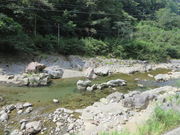 �Ԃ���񂳂�̔��R�k�J�̓��e�ʐ^1