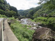 �Ԃ���񂳂�̔��R�k�J�̓��e�ʐ^2