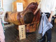 Ԃ񂳂̌㒹H@ق̓eʐ^2