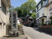 �X�^�[����̕��ώ��̓��e�ʐ^1