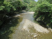 Ԃ񂳂̈ϐߓt R̓eʐ^1