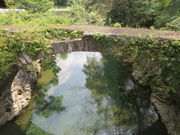 Ԃ񂳂̈ϐߓt R̓eʐ^2