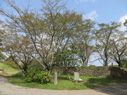 �Ԃ���񂳂�̉���藂̍��̓��e�ʐ^1