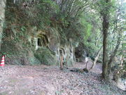 Ԃ񂳂̐ΊуiMmQAΊьὠeʐ^1