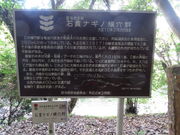 Ԃ񂳂̐ΊуiMmQAΊьὠeʐ^2