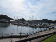 Ԃ񂳂̃bgZ[O̓eʐ^1