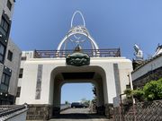 �X�^�[����̕��ώ��̓��e�ʐ^1