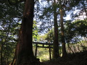 Ԃ񂳂̑钹_Ђ̓VR̓eʐ^1