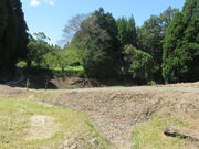 �Ԃ���񂳂�̑�m����Ղ̓��e�ʐ^2