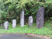 Ԃ񂳂̋Ri{?F_Ёj̓eʐ^1