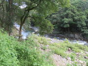 �Ԃ���񂳂�̐��R�k�J�̓��e�ʐ^1