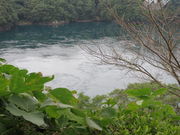 Ԃ񂳂̐j˂̉Q̓eʐ^3