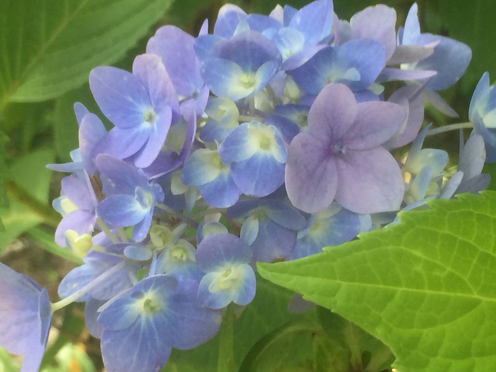 三宮駅周辺の動物園 植物園ランキングtop10 じゃらんnet