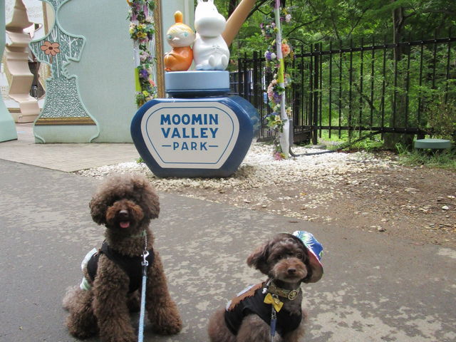 �������[�~���ƃ~�C�����o�}���ł�_���[�~���o���[�p�[�N