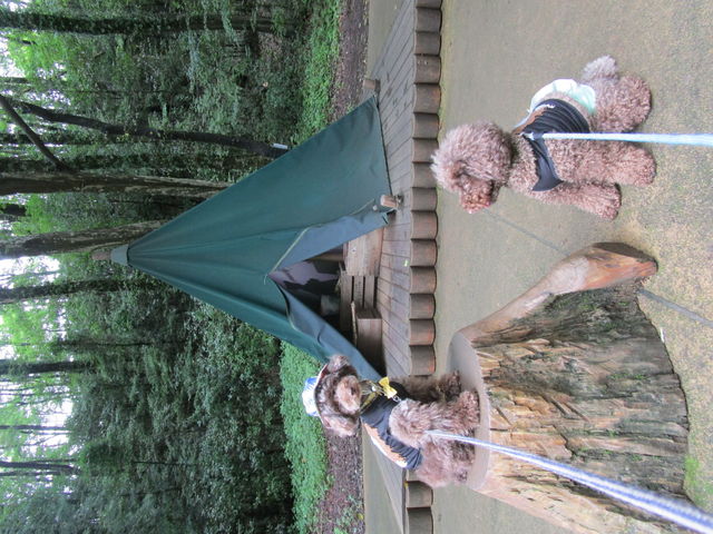 �X�i�t�L���̃e���g_���[�~���o���[�p�[�N